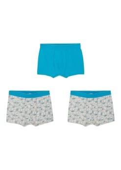 Lot De 3 Boxers Garçon 7 Lot De 3 Boxers Garçon -Bpc Bonprix Collection 23075902 IudBARGN